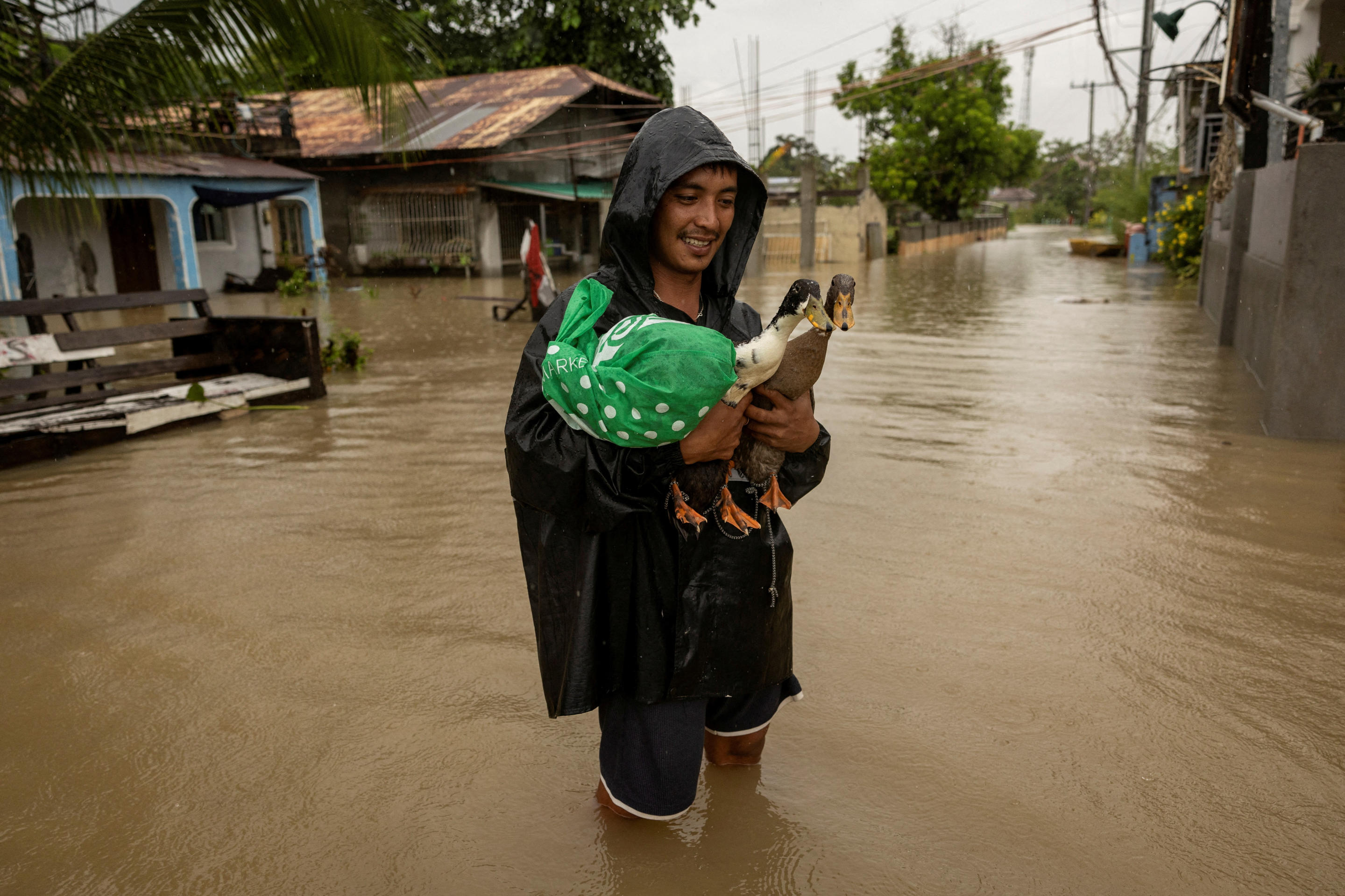 Jasper Miranda, 26, wades through floodwaters with his ducks that he rescued from their flooded home during Tropical Storm Yagi, locally known as Enteng, in Apalit, Pampanga, Philippines, September 5, 2024. (Eloisa Lopez/Reuters)