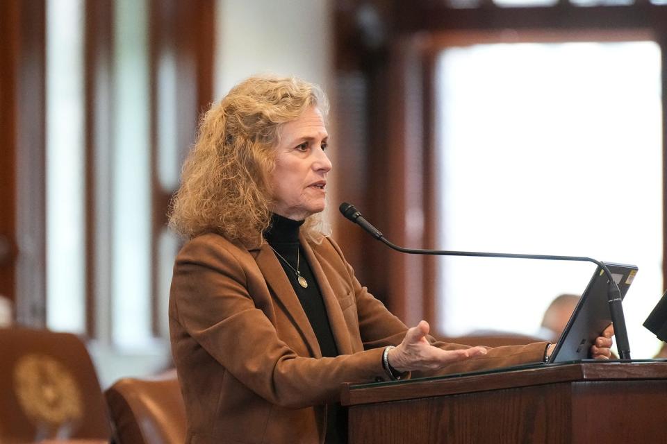 Rep. Donna Howard, D-Austin, said cases in which women's pregnancies ended in abortion "should absolutely be included" in reviews of maternal mortality.