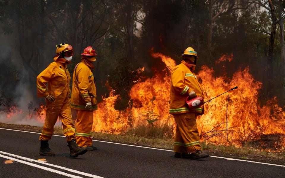 An estimated million hectares of land has been burned by bushfire following catastrophic fire conditions  - Getty Images AsiaPac