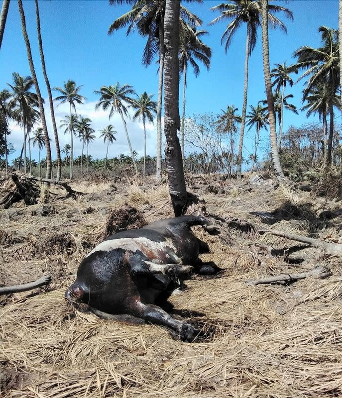 FILE PHOTO: The aftermath of Tonga volcano eruption on Jan. 15, 2022