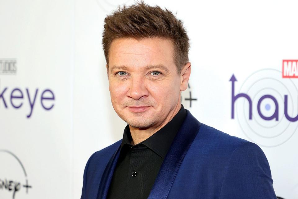 Theo Wargo/Getty Jeremy Renner