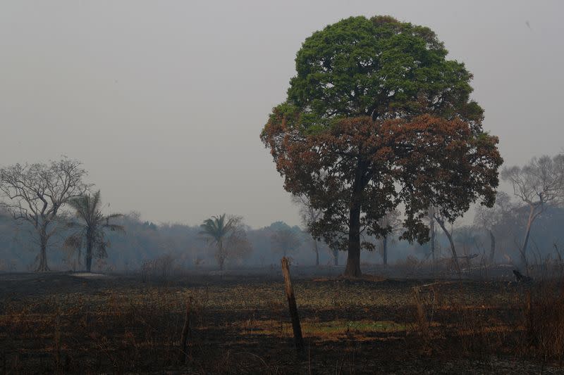 The Wider Image: In Brazil, it's not just the Amazon that's burning. The world's largest wetland is on fire too