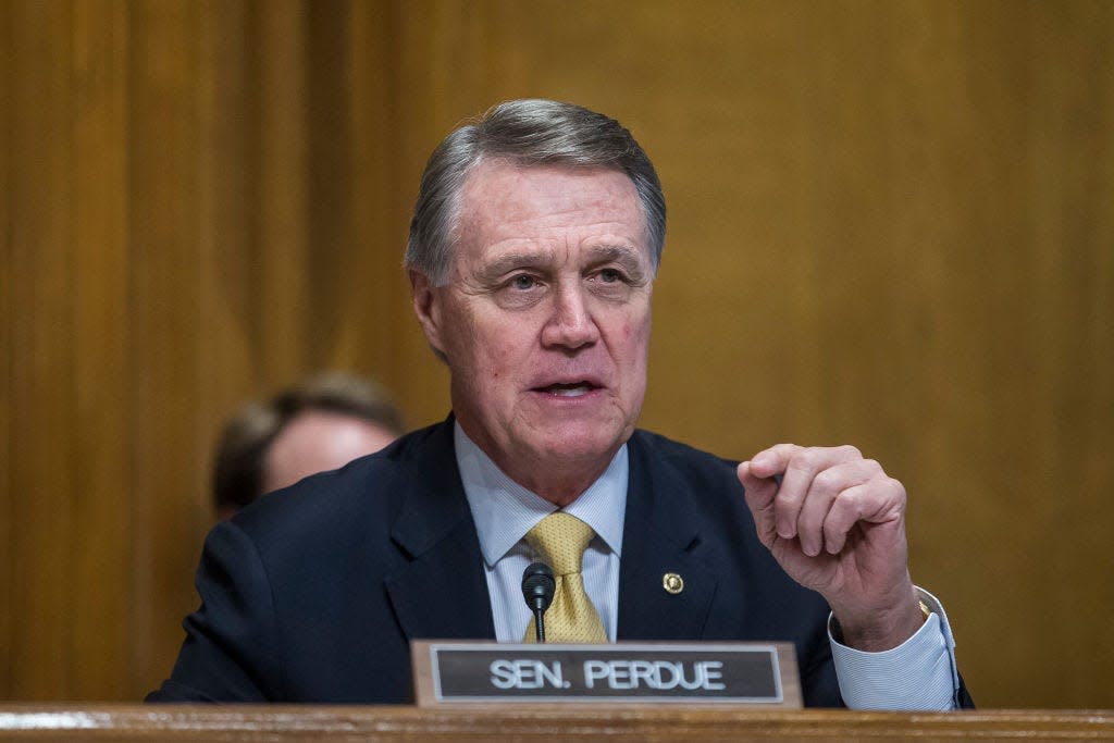 david perdue