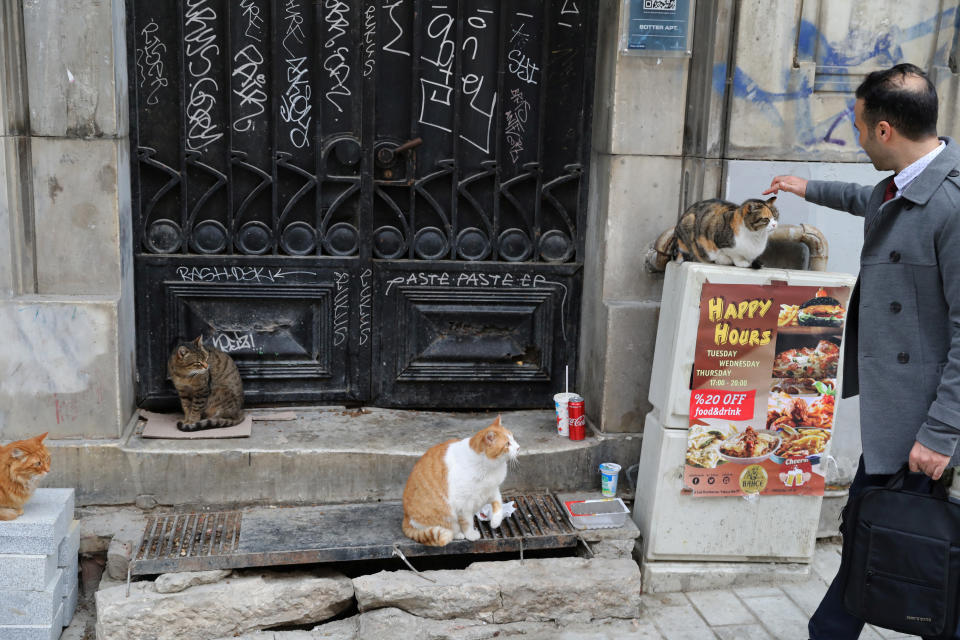 <p>A man pauses to pet a cat on a street on Jan. 9, 2018. (Photo: Goran Tomasevic/Reuters) </p>