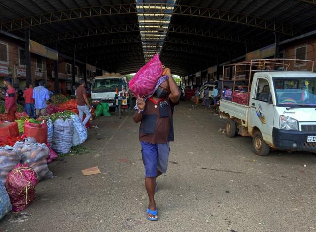 Fertiliser ban decimates Sri Lankan crops as government popularity ebbs