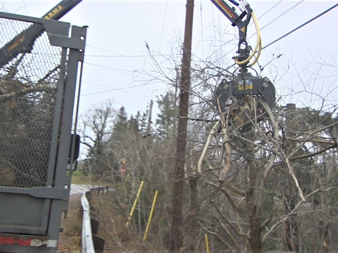 Removing trees will improve the sightlines of drivers approaching the intersection, the province hopes. (Kirk Pennell/CBC - image credit)