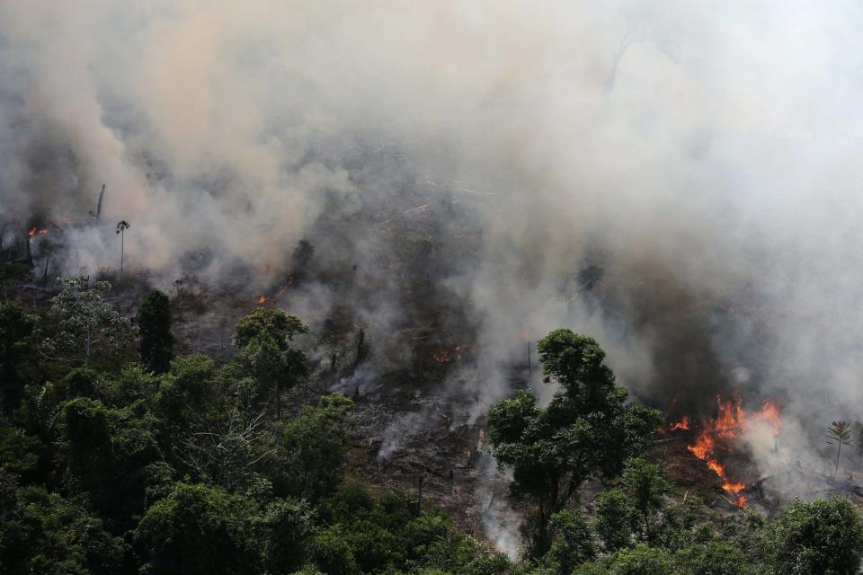 An aerial view of a tract of Amazon jungle burning. (REUTERS)