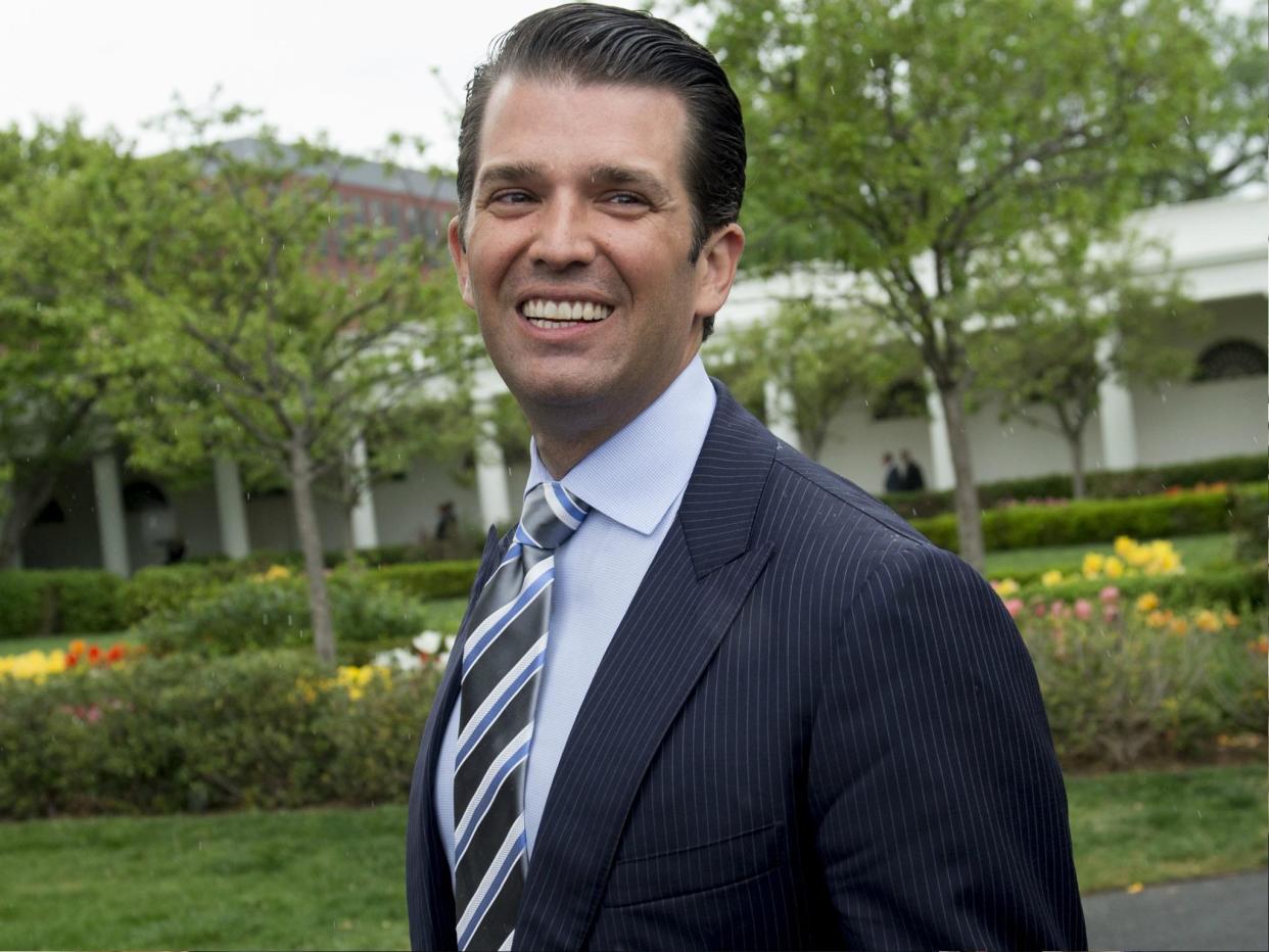 Mr Trump Jr has become famed for his social media blunders over the years: Getty Images