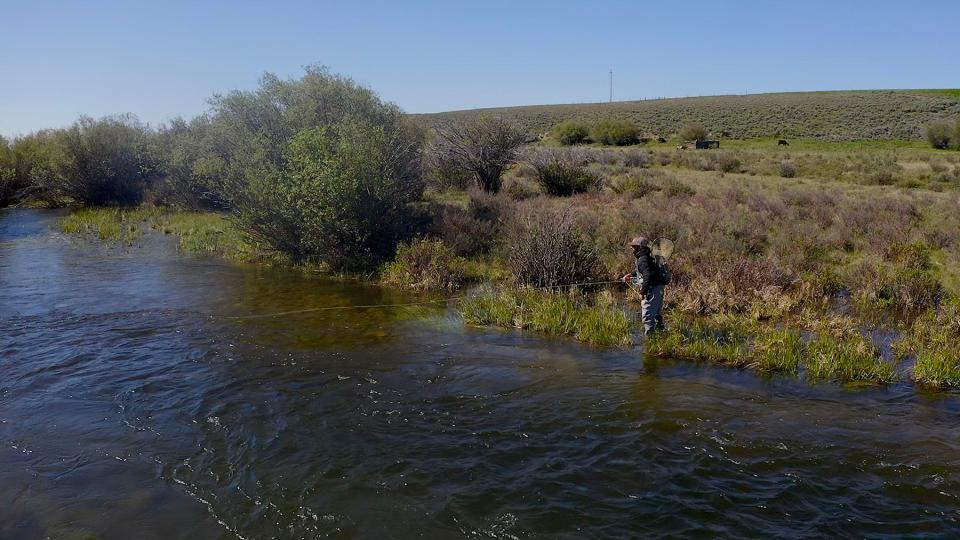 Bar Cross Ranch