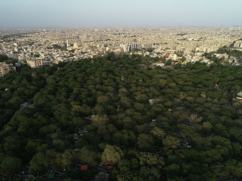 The Wider Image: Pakistanis plant trees to provide relief from scorching sun