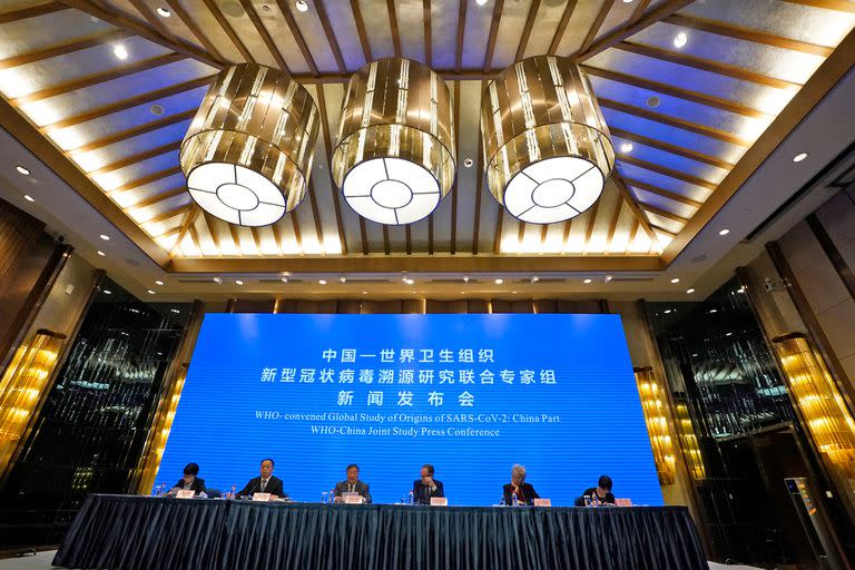 Conferencia de la Organización Mundial de la Salud, OMS, en Wuhan