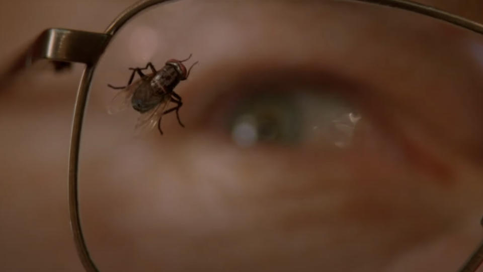 Fly from Breaking Bad