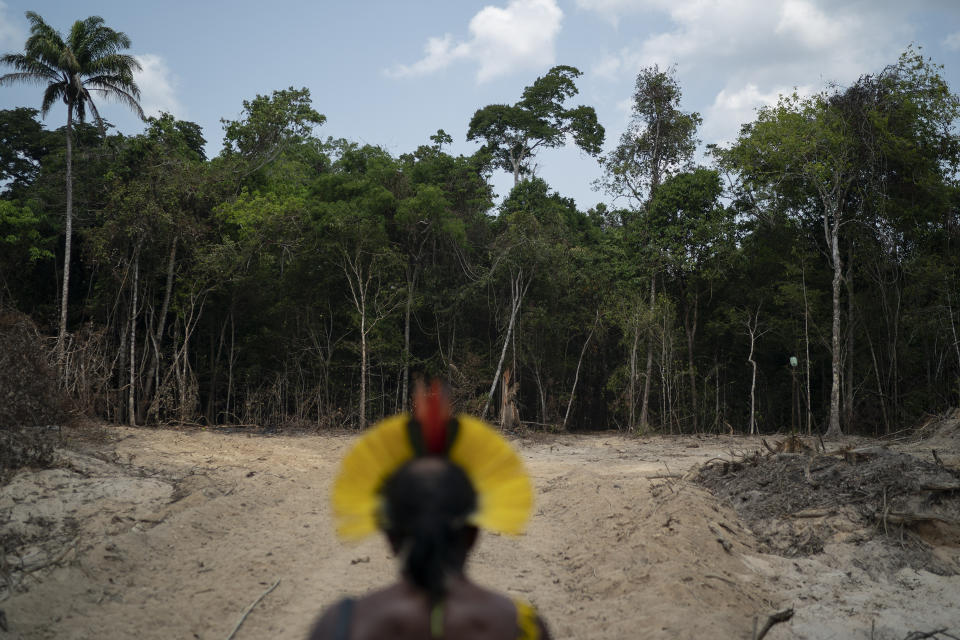 Krimej indigenous Chief Kadjyre Kayapo, of the Kayapo indigenous community, looks out at a path created by loggers on the border between the Biological Reserve Serra do Cachimbo, front, and Menkragnotire indigenous lands, in Altamira, Para state, Brazil, Saturday, Aug. 31, 2019. Much of the deforestation in the Brazilian Amazon is done illegally -- land grabbers burn areas to clear land for agriculture and loggers encroach on national forests and indigenous reserves, and Kayapo says he does not want loggers and prospectors on his land. (AP Photo/Leo Correa)