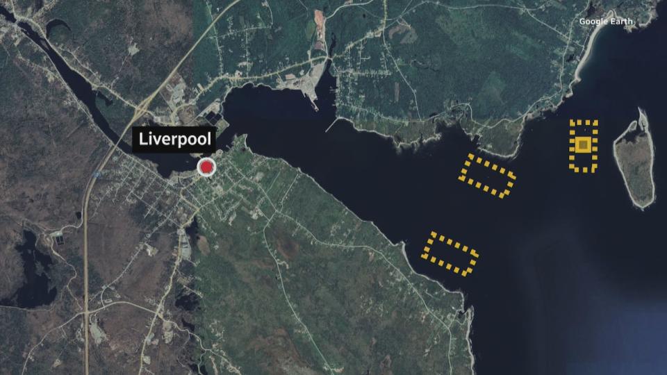 Kelly Cove Salmon wants to increase the size of its existing fish farm at Coffin Island in Liverpool Bay, and add two more sites nearby at Mersey Point and Brooklyn. The current site and proposed sites are highlighted in yellow.