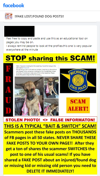 Beware of dog scams on Facebook and other social media