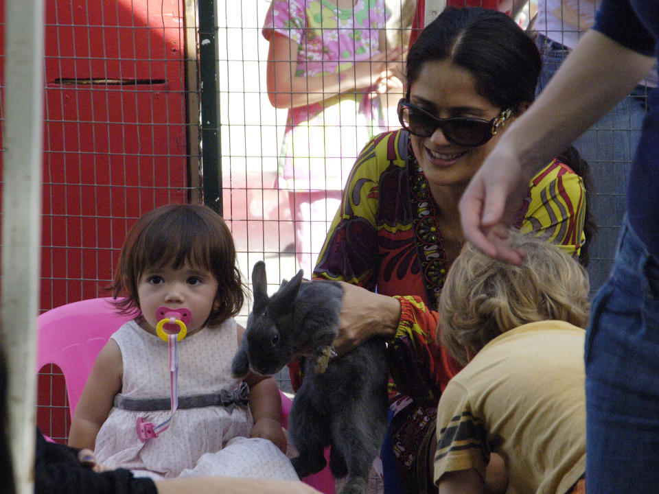 An afternoon at the petting zoo