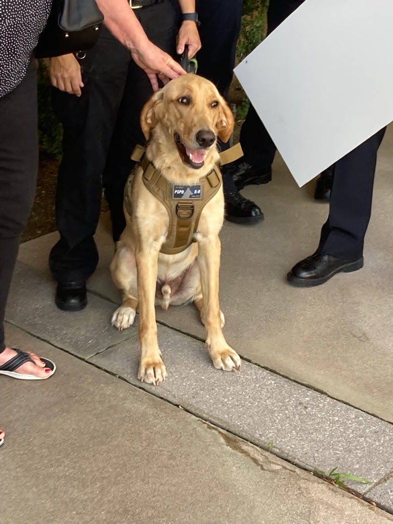 Finley became a therapy dog for the Palm Springs Police Department in January.