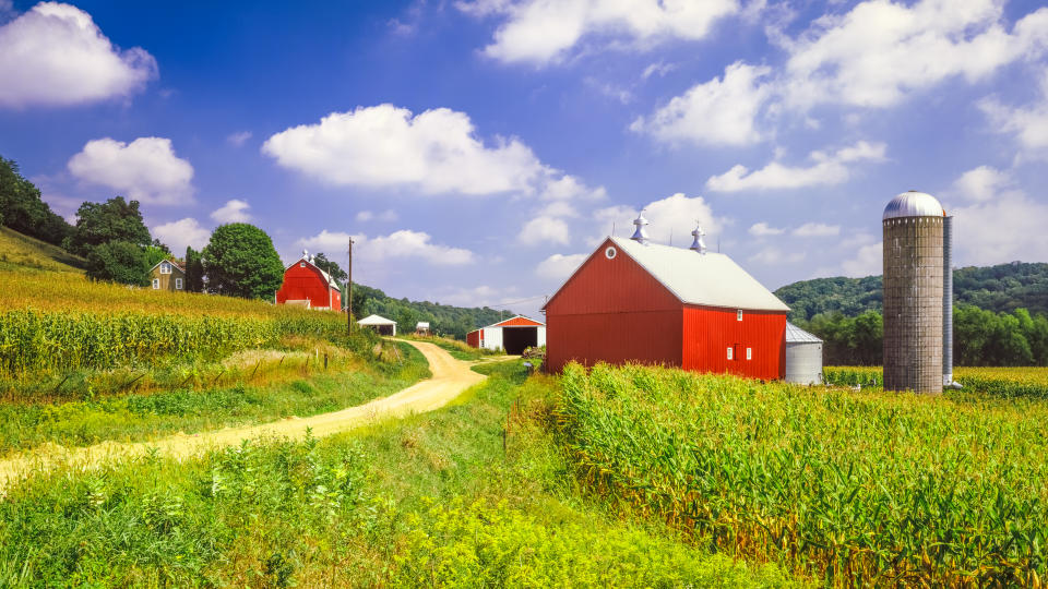 Wisconsin farm and corn field near Madison.