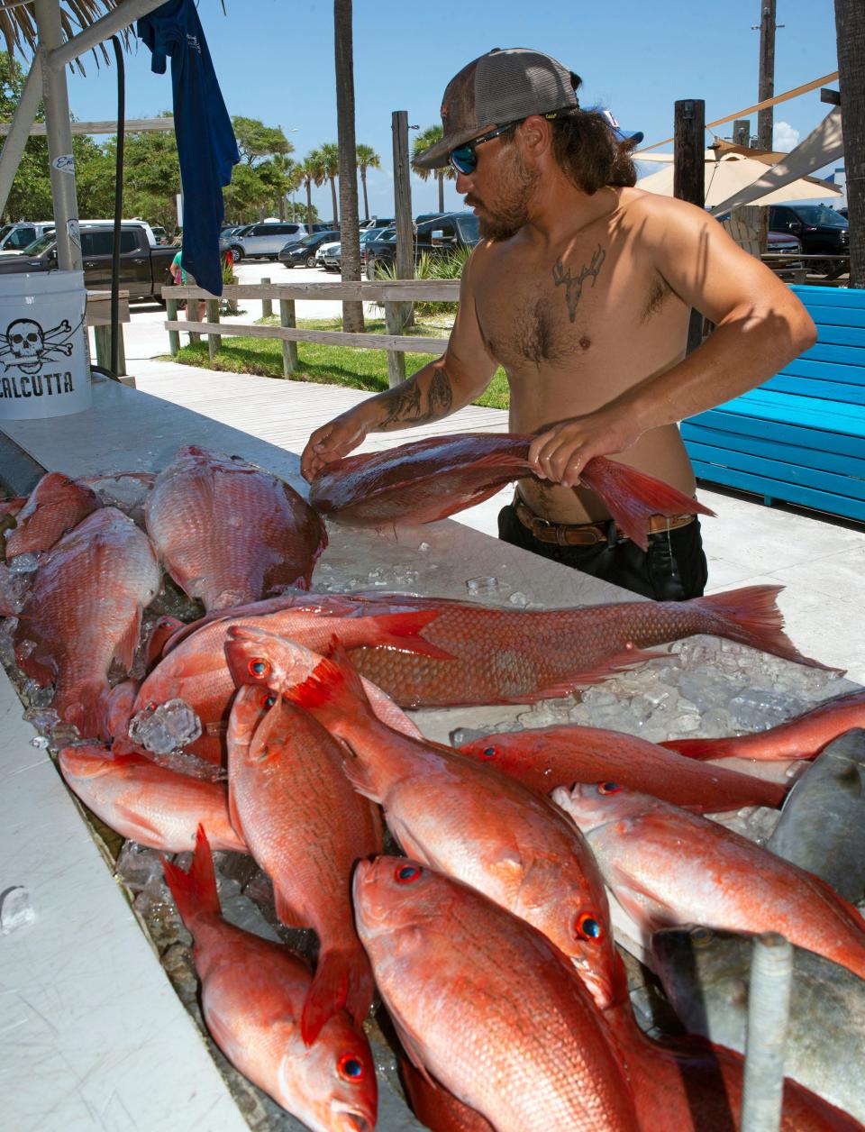 Charter boat Capt. Trevor Angeles unloads the day's red snapper catch after a successful fishing trip on Thursday, June 16, 2022.