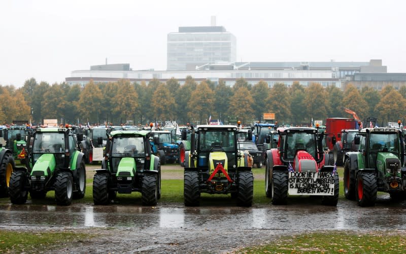 FILE PHOTO: Demonstration by Dutch farmers in The Hague