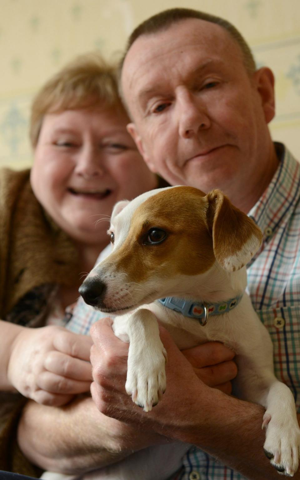  Jack Russell Molly with her owners Mary and Frank Finlay at home in Glasgow. - Credit: SWNS