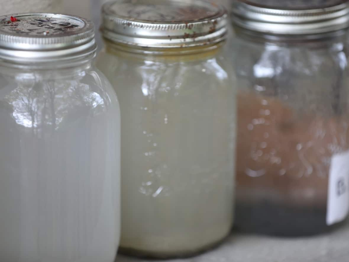 Pauzé has collected jars of water from her wells regularly for several years to show how silt levels vary. (Brenda Witmer/CBC - image credit)