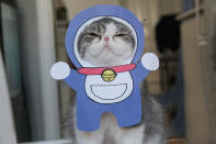 <p>Snoopy looking most impressed with his RobotiCat outfit from the Japanese manga series, Doraemon. “It is really hard to pick a favorite outfit as they’re all so amazing.” (Photo: DailySnoopy/Caters News) </p>