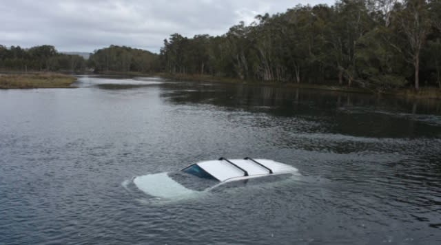 Man drives car into lake after giant spider jumps on arm