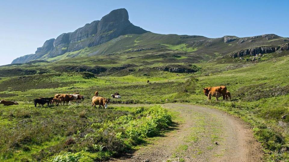 Las vistas desde la cumbre de An Sgurr son increíbles. (BBC)