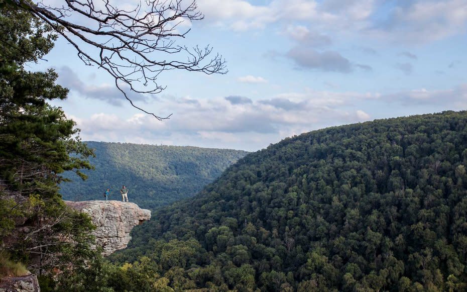 Arkansas Whitaker Point