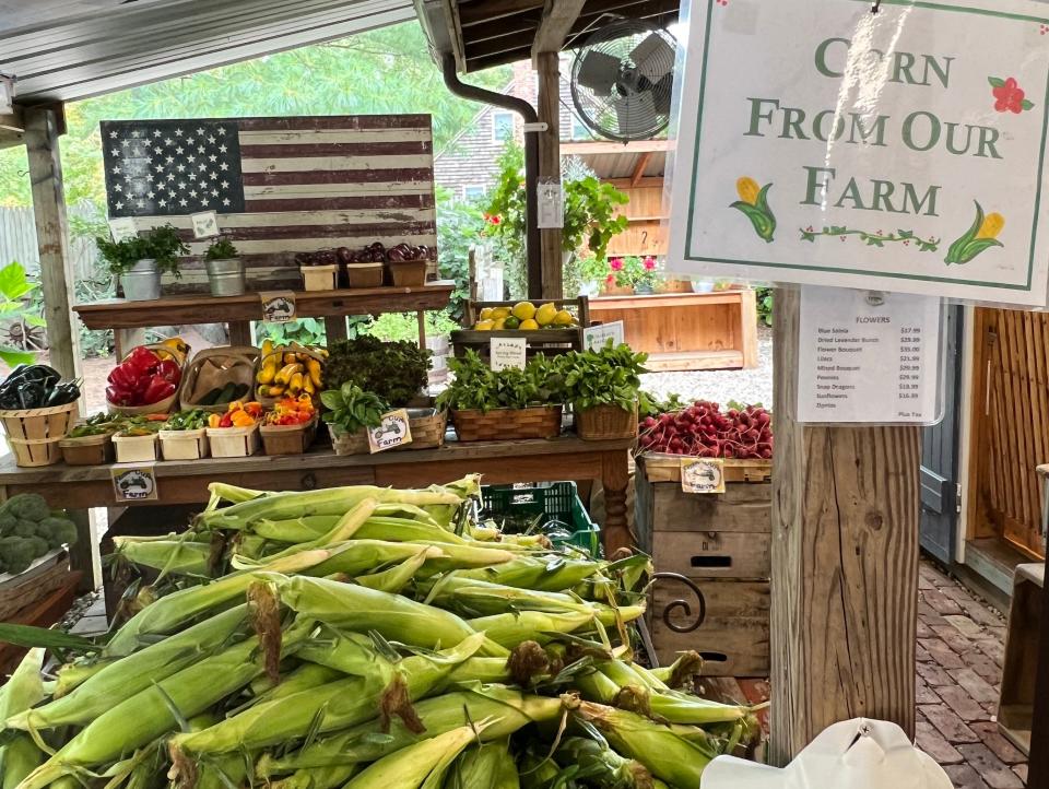 corn for sale round swamp farm