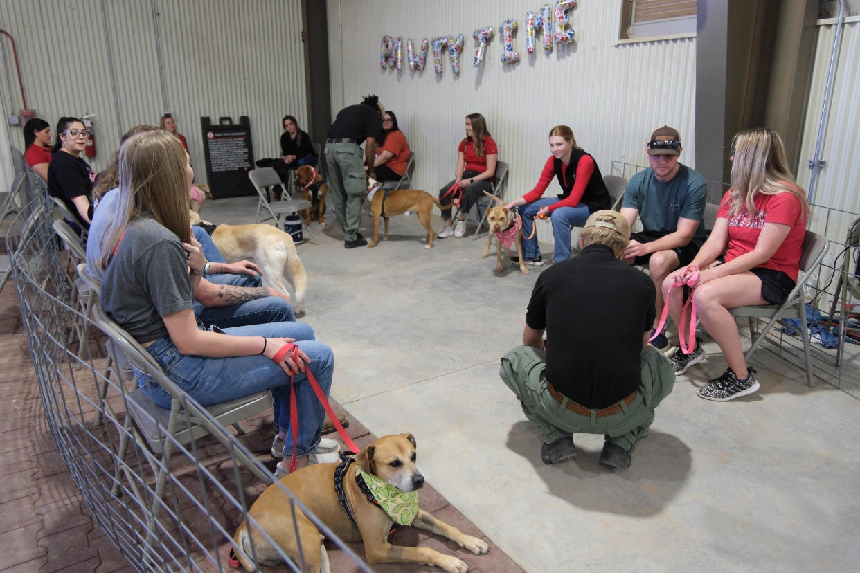 Prospective owners get a chance to meet with pets at the Texas Tech School of Veterinary Medicine "Barks and Recreation" event Saturday at Mariposa Station in west Amarillo.