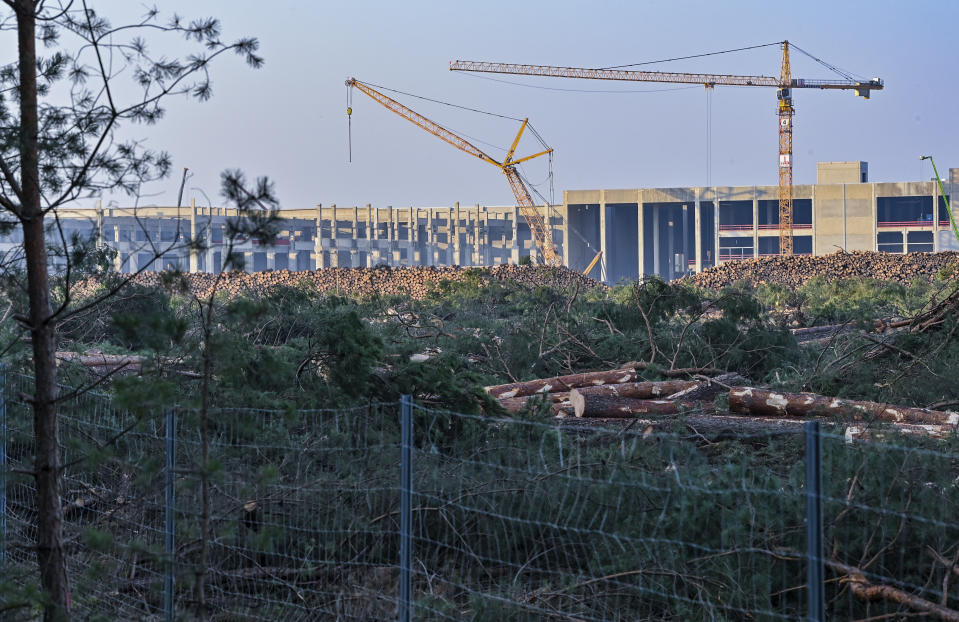 FILE - In this Dec. 8, 2020 file photo, felled trees lie on the construction site of the Tesla Gigafactory in Gruenheide near Berlin, Germany. A German court has ruled that automaker Tesla Inc. has to stop clearing trees on some parts of the site where it’s building its first electric car factory in Europe. (Patrick Pleul/dpa via AP, File)