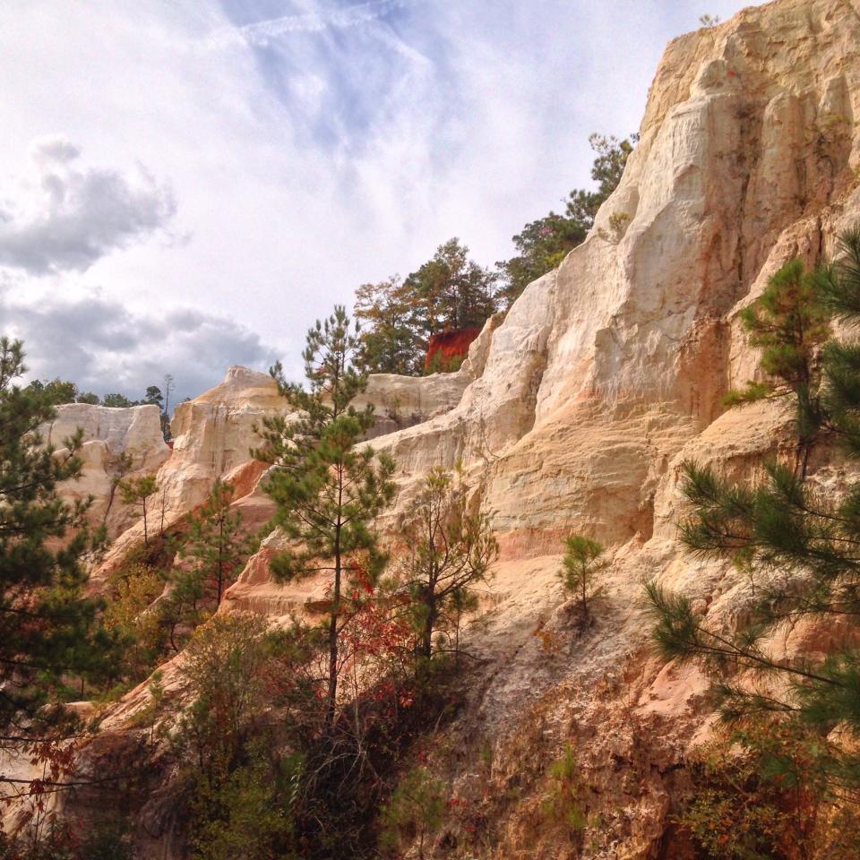 "Providence Canyon, affectionately known as 'Georgia&rsquo;s Little Grand Canyon,' is one of Georgia&rsquo;s most treasured locations."