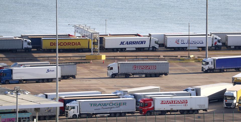 Lorries queue at the Port of Dover in Kent (PA Wire)