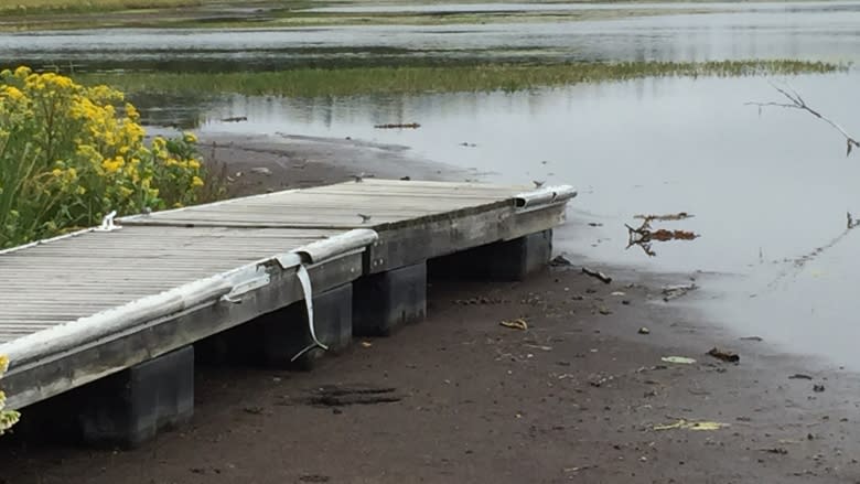 Cabin owners question 'disappearing' water on lakes outside Yellowknife