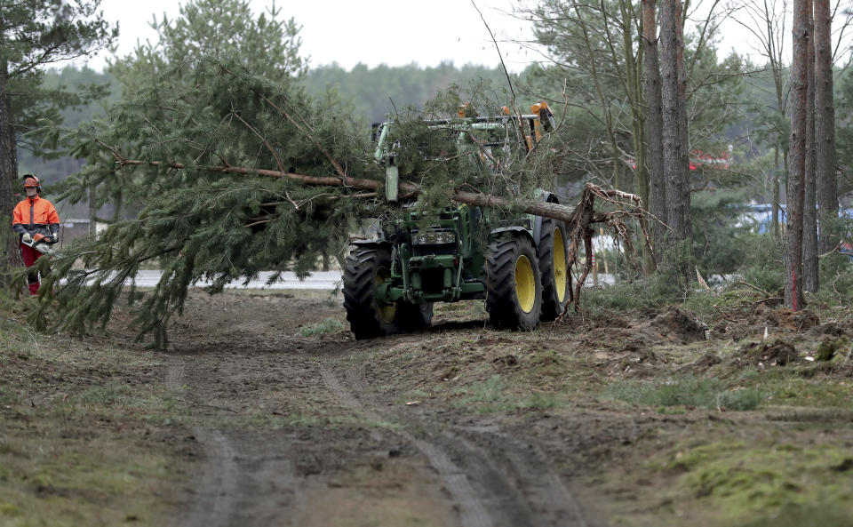 In this Wednesday, Jan. 8, 2020 photo a tractor lifts a tree at the site of the planned new Tesla Gigafactory in Gruenheide near Berlin, Germany. Tesla CEO Elon Musk said during an awards ceremony in Berlin in November 2019 that 'we have decided to put the Tesla Gigafactory Europe in the Berlin area.' The company will also set up an engineering and design center in Berlin, Musk said. He wrote on Twitter that the new plant 'will build batteries, powertrains & vehicles, starting with Model Y.' (AP Photo/Michael Sohn)