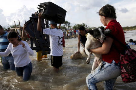 A woman carries a dog next to others carrying household items while walking in the Tachira River in San Antonio, Venezuela, August 25, 2015. REUTERS/Carlos Garcia Rawlins