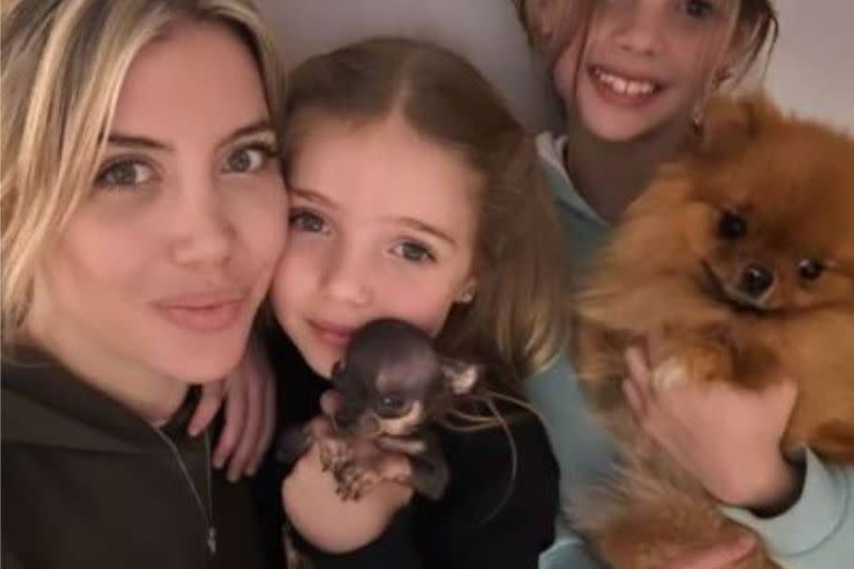 Wanda Nara junto a sus hijas Isabella y Francesca y dos de sus mascotas, un chihuahua y la pomerania llamada Carla