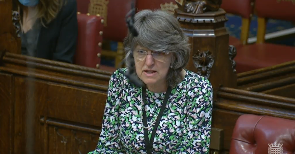 Baroness Finlay has been waiting for three weeks for progress which will allowe a mother and two children to travel the UK (House of Lords/PA)