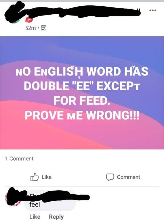 person who thinks there is only one word with two e's in the english language