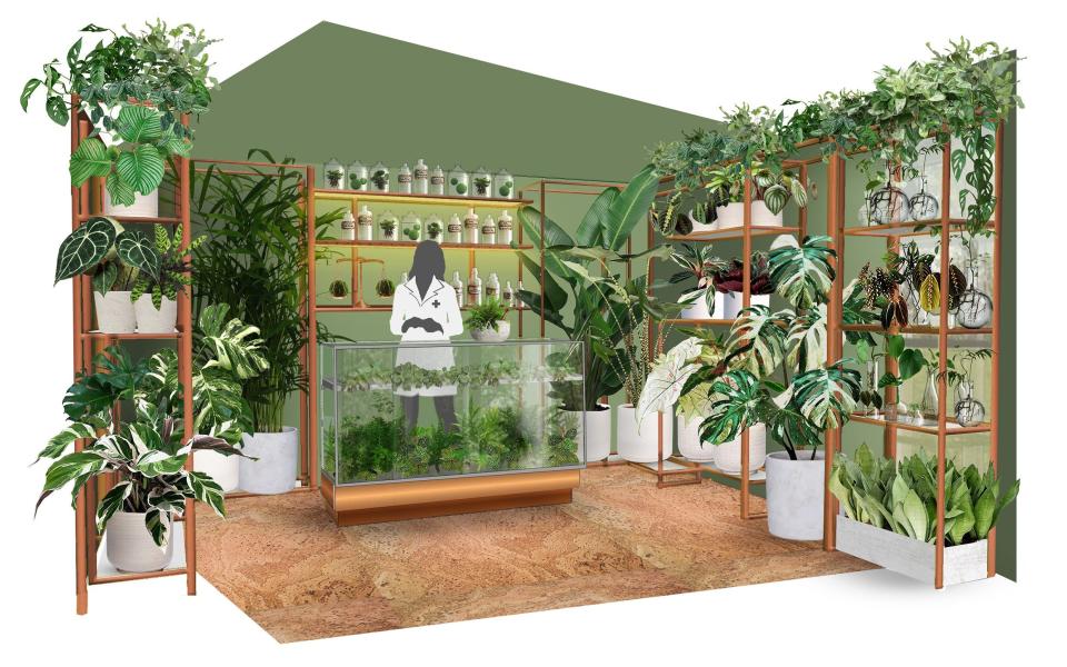 A ‘pharmacy of houseplants’ by London’s Edible Bus Stop team - Edible Bus Stop