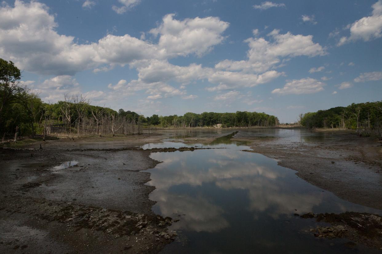 The estuary at low tide at Worlds End in Hingham on Thursday June 4, 2020. Photo by Lauren Owens Lambert / for The Patriot Ledger.