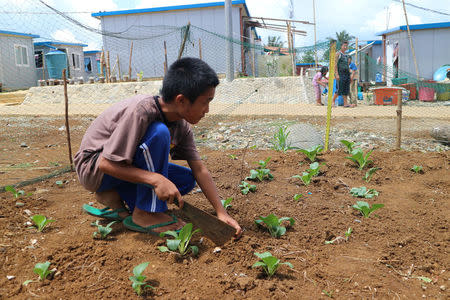 A child tends to his plants in a temporary housing complex in Marawi, southern Philippines May 22, 2018. Picture taken May 22, 2018. REUTERS/Neil Jerome Morales