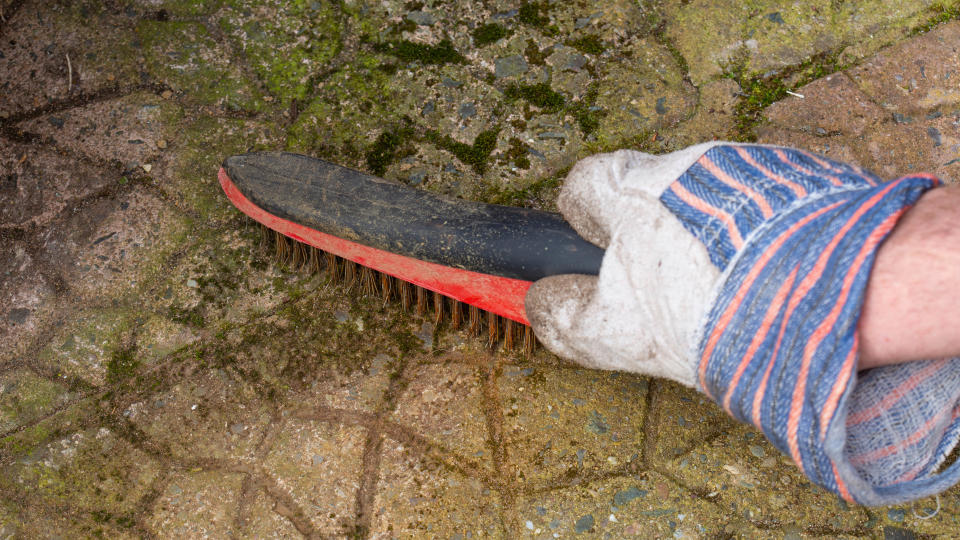 Someone scrubbing moss from a patio with a brush while wearing gloves