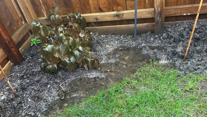 Garden flooding SWNS