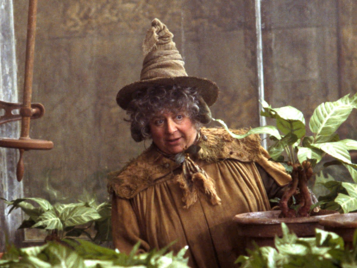 Miriam Margolyes in Harry Potter (Warner Bros.)