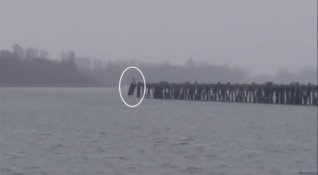 The suspect drove off the pier straight into the river, trying to evade police. Source: Storyfull