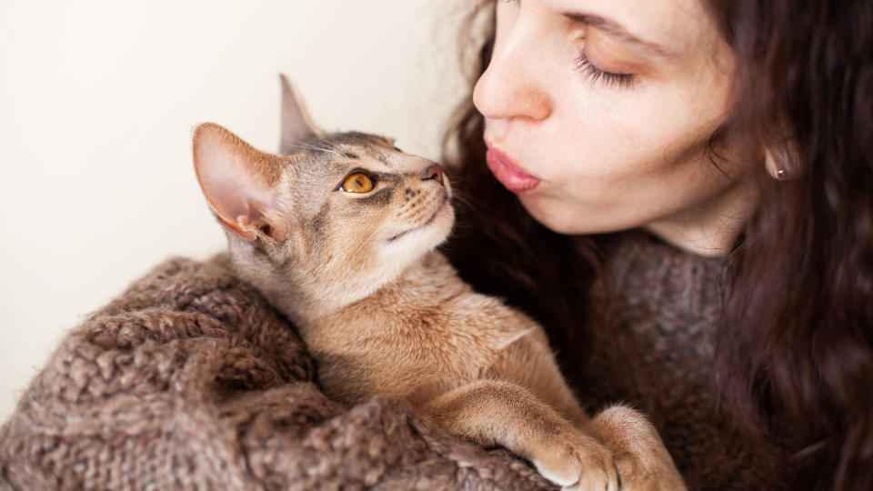 Woman kissing her Abyssinian cat