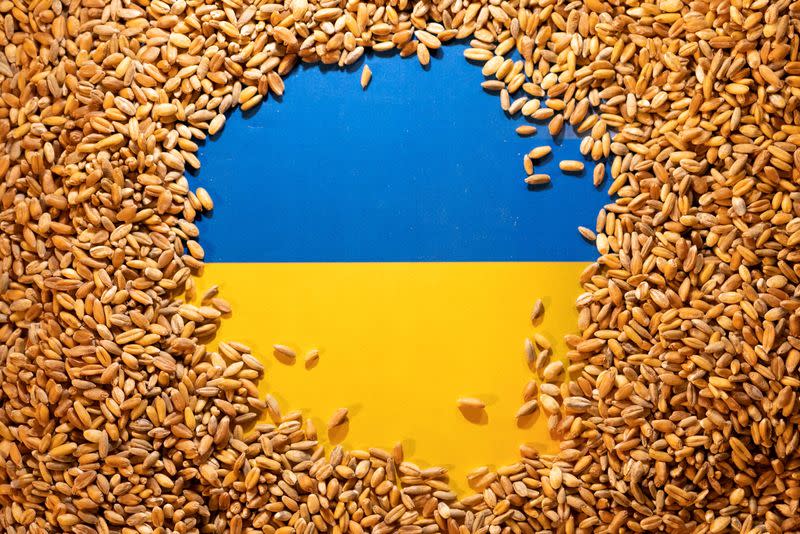 FILE PHOTO: Illustration shows Ukrainian flag and grain